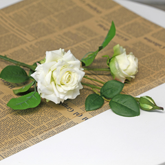 3 Three-headed curled moisturizing corner rose