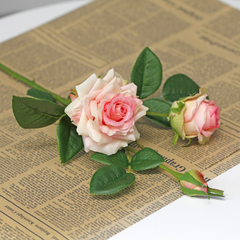 3 Three-headed curled moisturizing corner rose