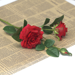 3 Three-headed curled moisturizing corner rose
