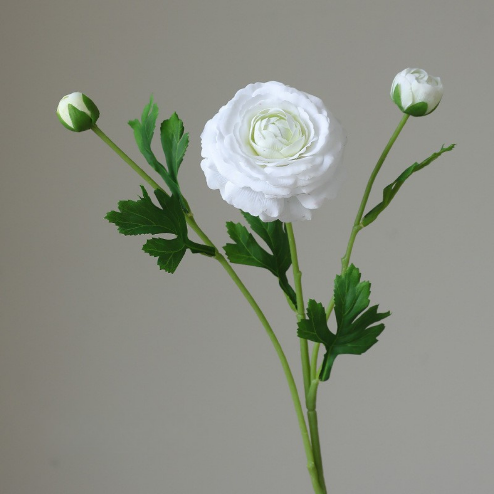 Fake high-end feel moisturizing lotion lotus peony-3