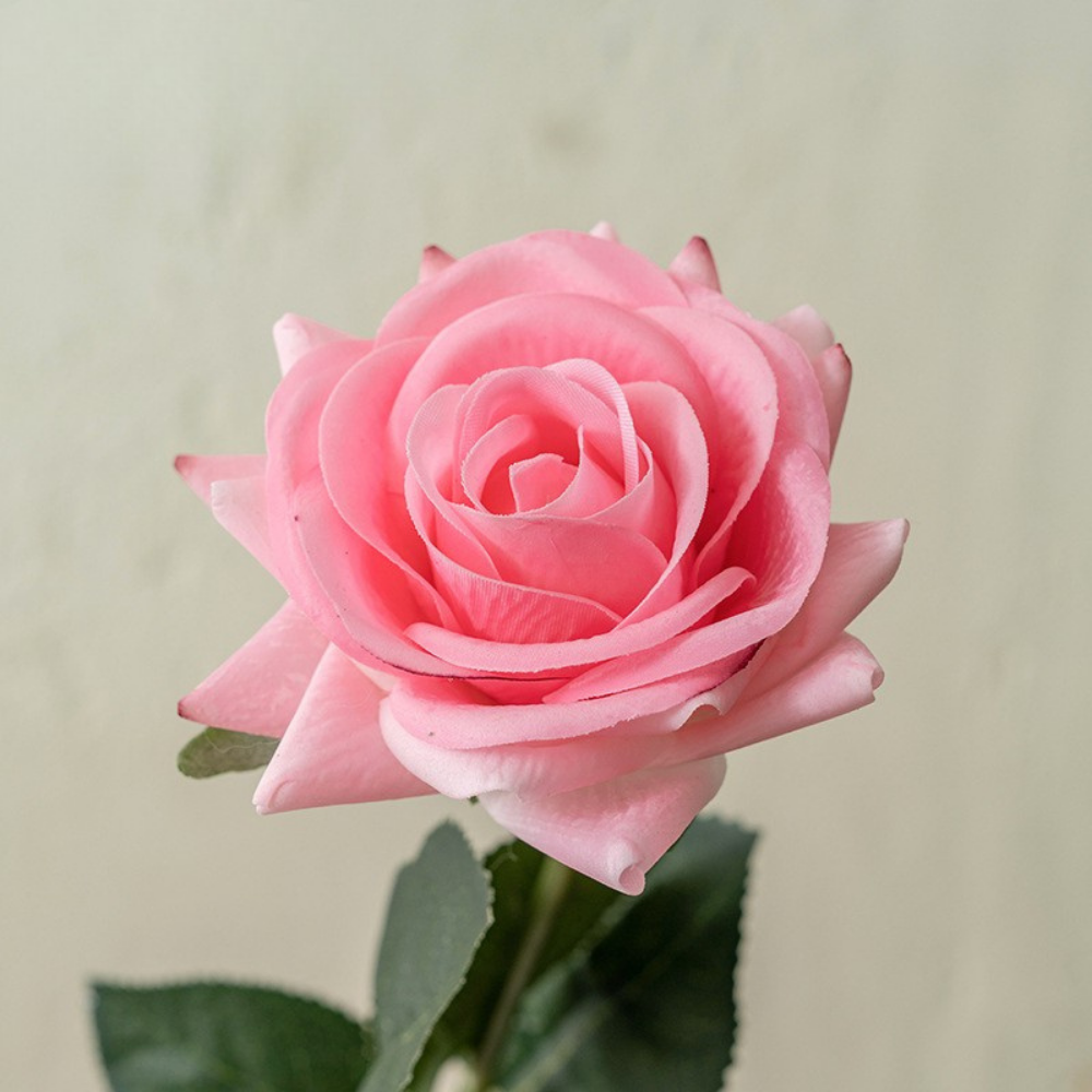 Moisturizing Rose Corner - 1 piece