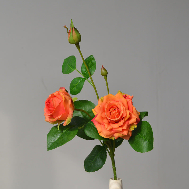 3 Three-headed curled moisturizing corner rose