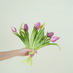 Fake Real Touch Tulip Flower